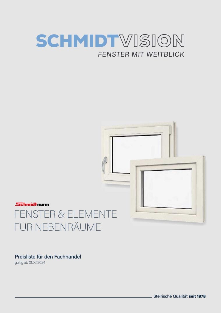 schmidt-vision Kopie